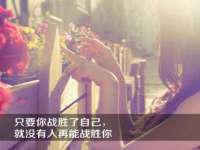 淮安春之宇网络科技有限公司