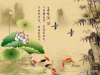 淮安春之宇网络科技有限公司