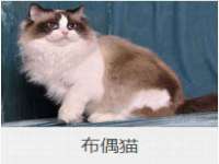 淮安春之宇网络科技有限公司