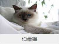 淮安春之宇网络科技有限公司