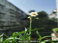 淮安春之宇网络科技有限公司