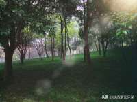 淮安春之宇网络科技有限公司