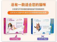 淮安春之宇网络科技有限公司