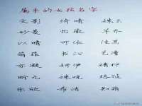 淮安春之宇网络科技有限公司